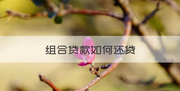 组合贷款如何还贷，房贷从高到低的还款方式是什么图1