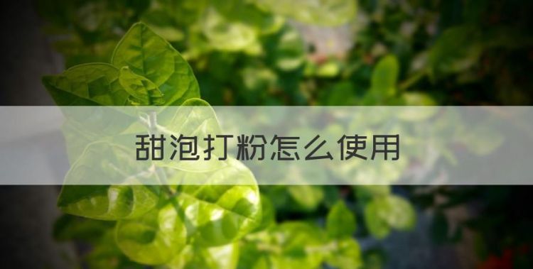 甜泡打粉怎么使用