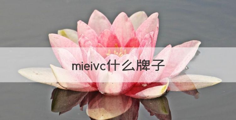 mieivc什么牌子，mieivc韩流尚品官网图1