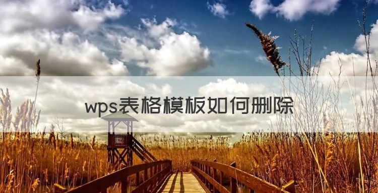 wps表格模板如何删除