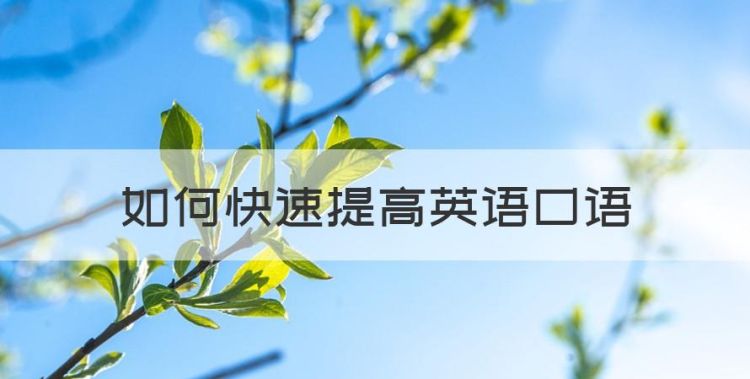 如何快速提高英语口语，快速提高英语口语的软件图1