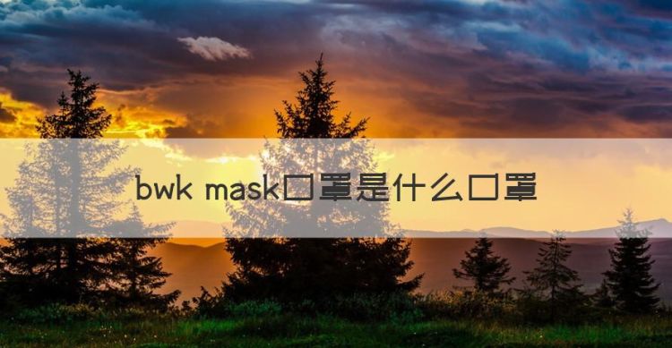 bwk mask口罩是什么口罩