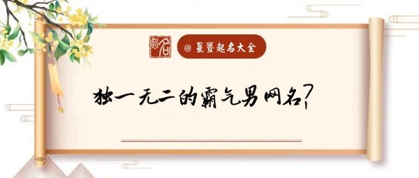 208独一无二霸气网名,独一无二的霸气男网名2个字图3