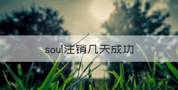 soul注销几天成功图1