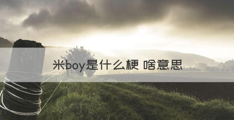 米boy是什么梗 啥意思