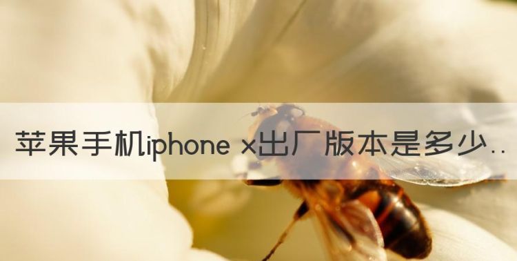 苹果手机iphone x出厂版本是多少