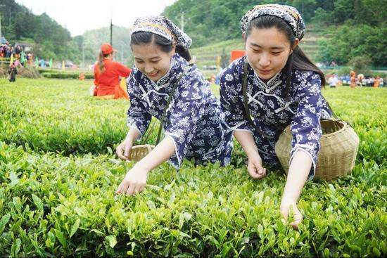 大暑节气的含义是什么,大暑的意思是什么意思图6