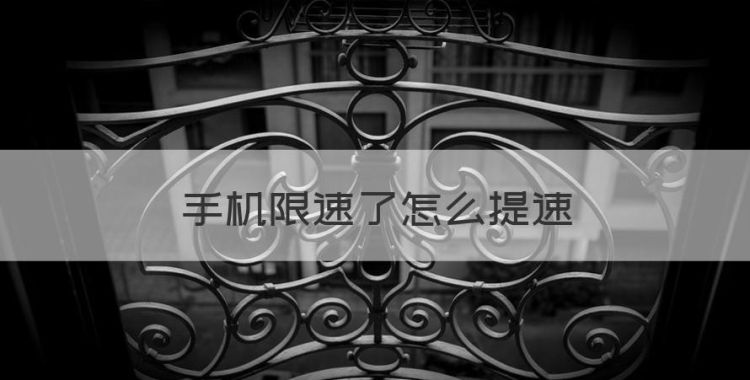 手机限速了怎么提速，手机被限速怎么恢复网速图1