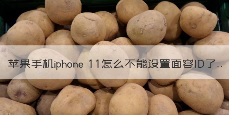 苹果手机iphone 怎么不能设置面容ID了