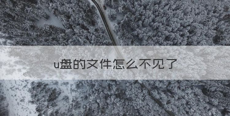 u盘的文件怎么不见了图1