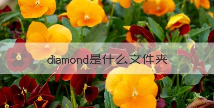 diamond是什么文件夹，diamondcode可以删除吗