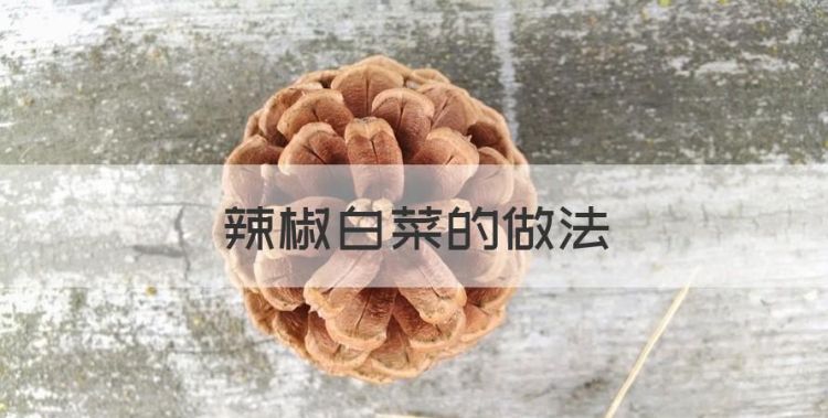 辣椒白菜的做法，辣白菜怎么做好吃又简单图1