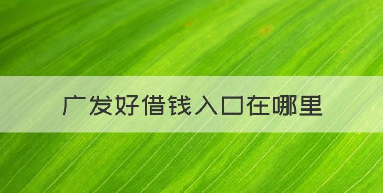 广发好借钱入口在哪里，支付宝好会借钱怎么样