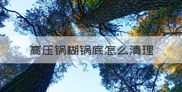 高压锅糊锅底怎么清理，高压锅烧焦了怎么洗干净?图1