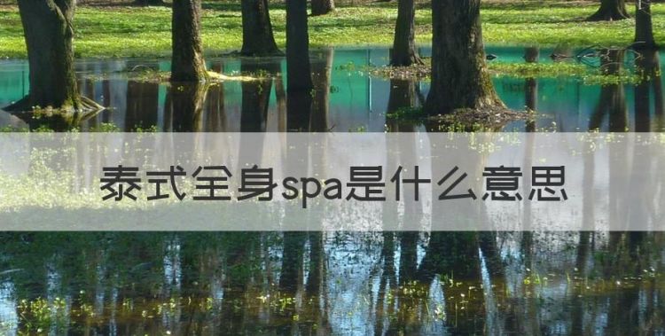 泰式spa是什么，泰式全身spa是什么意思图1