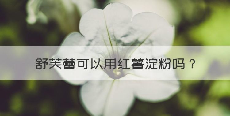 舒芙蕾可以用红薯淀粉，制作舒芙蕾需要哪些材料图1