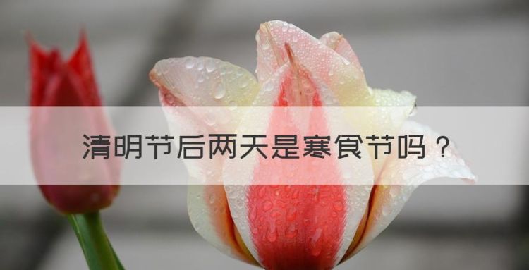 清明节后两天是寒食节