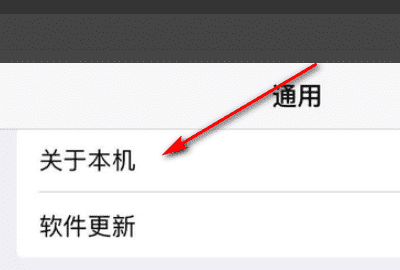 ipad型号怎么看，苹果平板ipad 怎么看A几的芯片图4