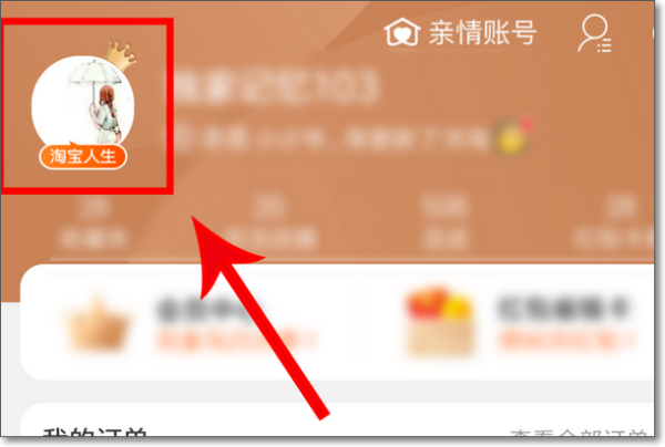 怎么查淘宝人生账单,我的淘宝人生账单在哪里看苹果手机图9