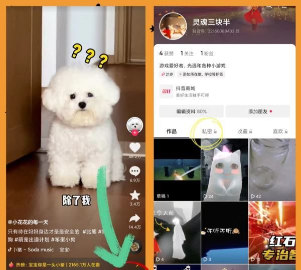 抖音怎么删除私密作品，抖音私密作品怎么删除图10