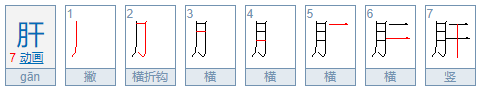 月字旁的字大多都和什么有关系,用月做偏旁大多和什么有关图3