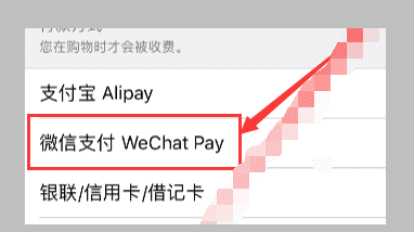 ios不能微信支付了，苹果手机更新完了微信不能支付了为什么呢图4