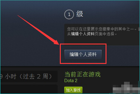 dota2改名字,在dota2中怎么修改昵称和头像图7