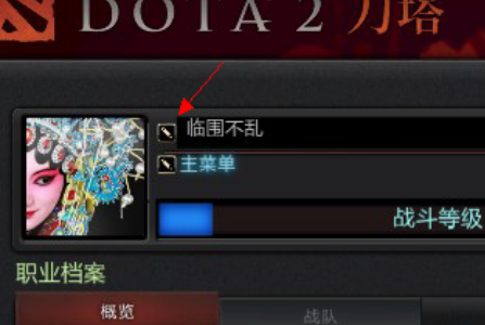 dota2改名字,在dota2中怎么修改昵称和头像图9