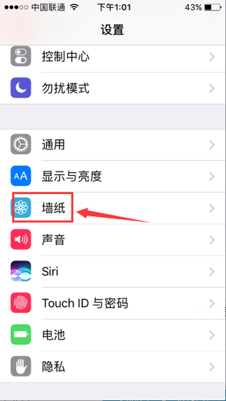 苹果手机iphone 主题在哪里设置,苹果手机怎么更换主题桌面图标图13