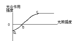 光合作用的光饱和点是什么，高中生物光合作用知识点总结图2