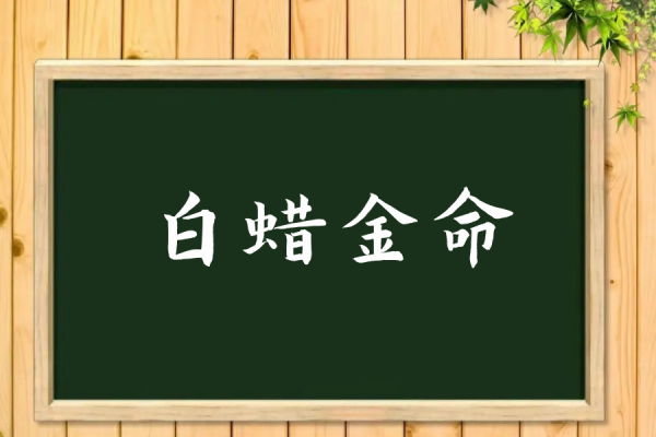 白蜡金命什么意思,属蛇的白蜡金命什么意思