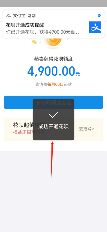 我的支付宝怎么没有花呗,为什么我的支付宝没有花呗这个功能图5