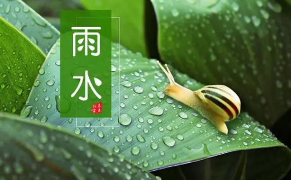 雨水节气特点 雨水节气特点简述,二十四节气中雨水的特点有哪些