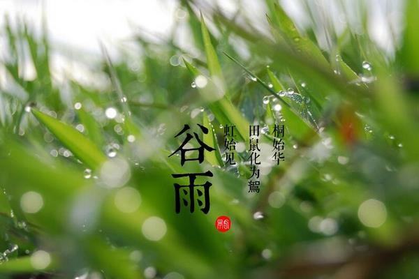 谷雨的诗句 有关谷雨的古诗,谷雨的古诗句子图3