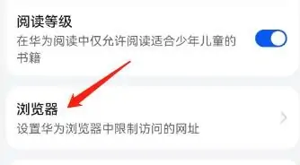 手机怎么禁止进入网站,手机怎么把网站屏蔽掉图3