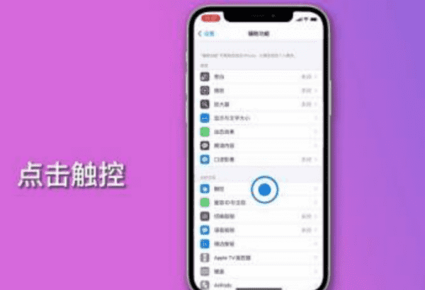 苹果手机iphone xhome键怎么调出来图2