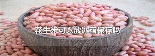 花生米可以冷冻储存，熟花生可以冷冻保存吗