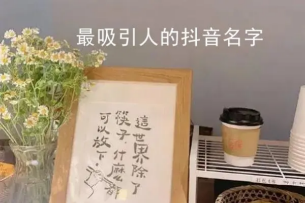 抖音名字怎么写吸引人,抖音名字怎么写吸引人图5