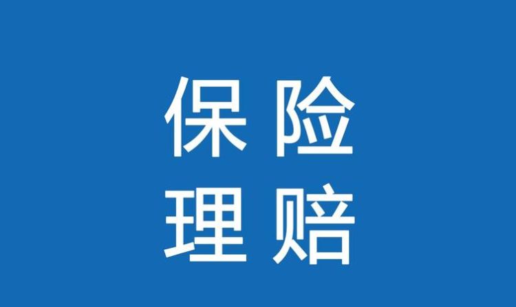 网上买保险理赔难,支付宝买车险出险理赔麻烦图2