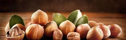 hazelnut,hazelnut怎么读音图2