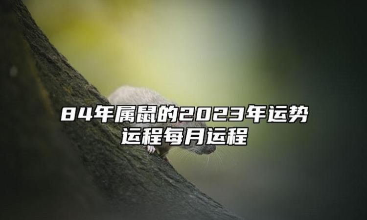 鼠年运势运程996,96年属鼠每月运势及运程图4