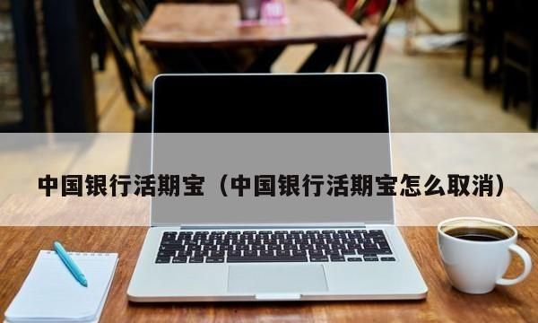 中银活期宝安全,活期宝怎样转换买基金图2