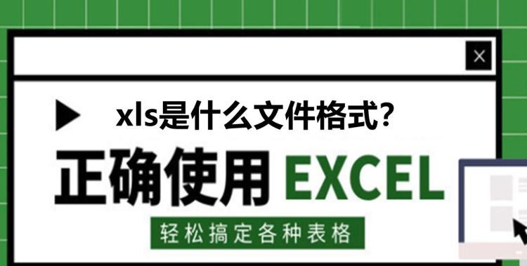 文件格式为xls是什么意思,XLS是什么文件