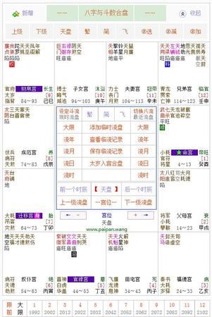 紫微斗数在线排盘免费算命,紫微命盘和八字算命哪个准图1