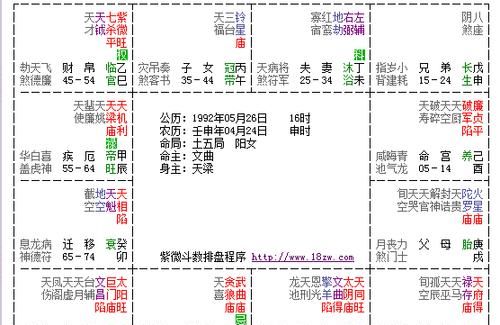 紫微斗数在线排盘免费算命,紫微命盘和八字算命哪个准图2