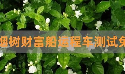 周易运程车婚姻树,婚姻树免费测试2023