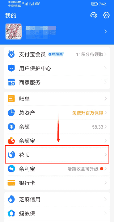 我的支付宝怎么没有花呗,为什么我的支付宝里没有花呗选项图3
