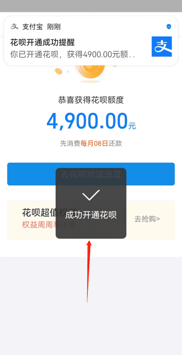 我的支付宝怎么没有花呗,为什么我的支付宝里没有花呗选项图6