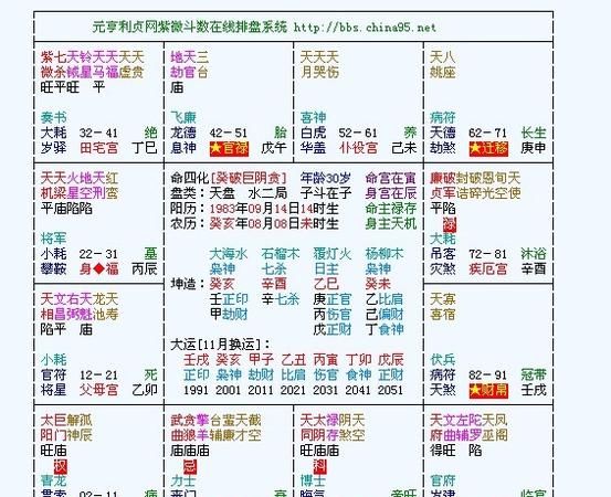 免费紫薇命盘软件,紫微斗数排盘软件哪个好用图2