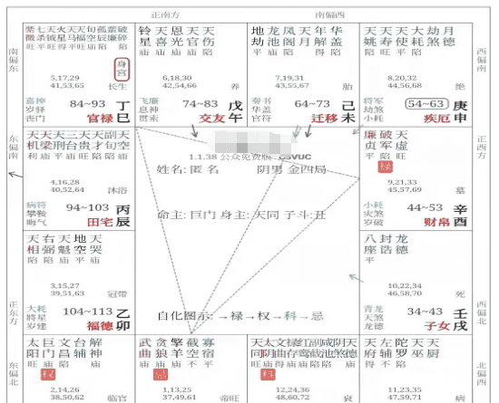 紫微斗数算命最准的网站,关于紫微斗数的网站目前有哪些图2